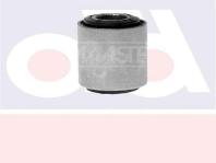 ALT SALINCAK BURCU R12 - MASTER 0199