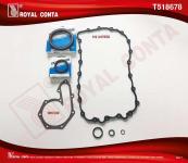 CONTA ALT TAKIM REINZ KECELI  RENAULT LAGUNA - ROYAL T518678