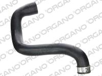 RADYATOR HORTUMU ALT W211 02-08 S211 03-09 C - UCPA 10H12840