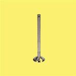 SUBAP EMME EGZOZ TWNG-CLIO-MODUS-SYMBOL-LO - GUNES 6816-6817