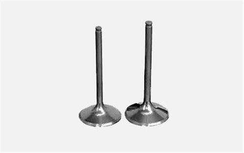 1 SUPAP TAKIMI IN-8/EX-8 RENAULT LAGUNA 2.2  - GUNES 3996-3997