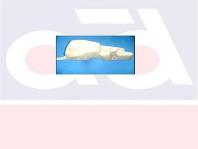 CAM SU DEPOSU VEGA ENJ. ORJ.URUN - TPART 36223