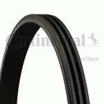 Kanalli Kayis Clio 1.2 1.4 8v 90 98 Clio Van 1.2 8v 91 98 - CONTI 3PK703