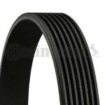 Kanalli Kayis C218 13-17 W212 11-15 C207 13-16 C292 15-19 W2 - CONTI 7PK2005