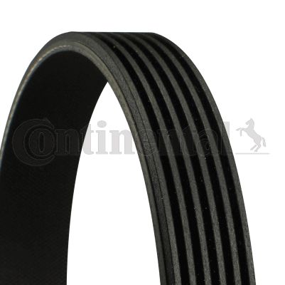 V KAYISI MERCEDES SPRT.CDI OM.611-OM.612 - CONTITECH 6PK2170