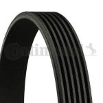 Kanalli Kayis Vw T4 2.4d - - CONTITECH 6PK1352