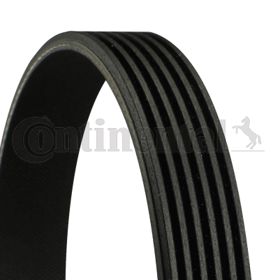 Kanalli V Kayisi - - CONTITECH 6PK1005