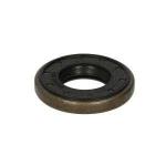 PRIZDIREK KECESI ON PALIO SIENA   - 46411 - CORTECO 82014345