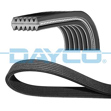 KANALLI KAYIS - DAYCO 6DPK1853