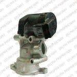 EGR VALFI CITROEN C4 I 2.0 HDI 04-11.  - DELPHI EG10396-12B1