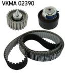 TRIGER SETI TEFLONLU KAYIS 178 DIS EURO 4-5 - SKF VKMA 02390
