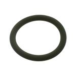 Enjektor O Ringi Daf 27 X 21 X 3 Cf Xf 1160 - FEBI 40442