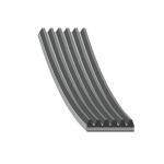 KANALLI KAYIS 6PK1070 CADDY GOLFII GOLF V PASSA - FEBI 37533