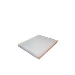 POLEN FILTRESI FIESTA VI 08/- B MAX 13/- TRA - FUJI FHP00637