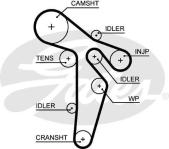 TRIGER KAYISI CT1139 25 mm-INCE VW POLO-CADDY - GATES 5649XS