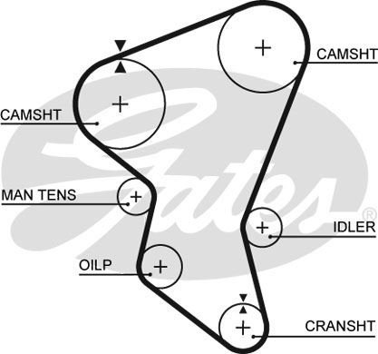 x TRIGER KAYISI 137x300 ISUZU MIDI 2.0TD 8V 9 - GATES 5171XS
