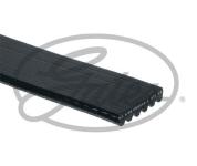 KANALLI KAYIS HYUNDAI ACCENT 1.5CRDI 12V 02  - GATES 6PK1395
