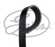 KANALLI V KAYISI  FORD V363 14- 2.2TDCI 155P - GATES 7PK2968