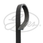 KANALLI KAYIS BMW 116 118 120 128 313 320 3 - GATES 6DPK1817