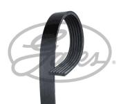Kanalli Kayis Doblo 1.9 Dzl Klml Jtd Mtr 01 Logan-symbol 1.6 - GATES 6PK1822