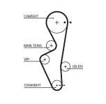 TRIGER KAYISI 117X254 NISSAN CUBIC LUCINO PUL - GATES 5430XS