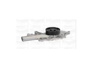 Devirdaim Pompasi Mercedes S-class Om613 W220 - GRAF PA955