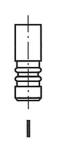Subap Emme+eksoz İn-8 Ex-8 Linea Brava Alf - GUNES 1369-1370