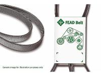 KANALLI KAYIS A4 A6 1.9TDI.ASSA.5PK159.IN.FB - INA FB5PK1592