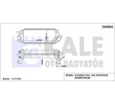 TURBO RADYATORU ARA SOGUTUCU KORE IX35/TUCSON/ - KALE 344945