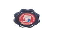MOTOR YAG KAPAGI R.12   - 7700644083 - KAYA KR262