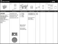 MOTOR PISTON+SEGMAN [ RIKEN ] 72. - KINGPISTON 18-3010110-30