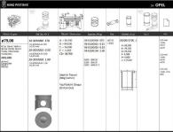 MOTOR PISTONSEGMANI  RIKEN  79.000.5 - KINGPISTON 18-3050263