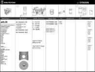 PISTON KITI 1 RIKEN SEGMANLI CITROEN - KINGPISTON 18-7550900