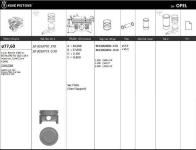 MOTOR PISTONSEGMANI  RIKEN  77.600.5 - KINGPISTON 18-3010773
