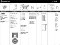 MOTOR PISTON+SEGMAN [ RIKEN ] 69.60  - KINGPISTON 18-2092322