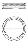 Piston Segman Std Punto İi Stilo İdea Doblo  - MAHLE 0100501