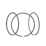 MOTOR SEGMANI LAGUNA II 2.2TDCI 16V G9T 87.0 - MAHLE 02207N2