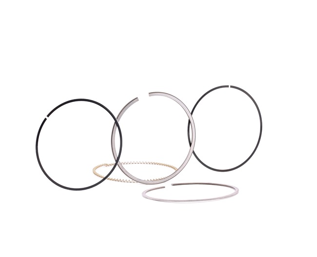 Motor Segmani P206 Gti P607 P406 Ym 806 P307 Expert P807 P40 - MAHLE 04016N0