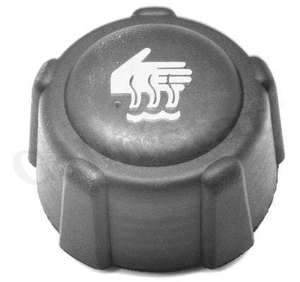 RADYATOR YEDEK SU DEPO KAPAGI RENAULT MEGANE - VERNET RC0016