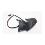 DIREKSIYON IC KONTROL DUGMESI CLIO 4 - OEK 255503728R