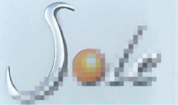 BAGAJ YAZISI SOLE ALBEA - OZAR 5Y129