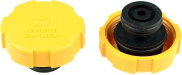 Radyator Yedek Su Depo Kapagi Opel Astra H Bm 04-9202799 - RAPRO R66121