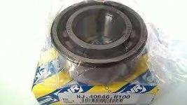 SANZIMAN RULMANI C510 BRAVA BRAVO MAREA TE - SNR NJ40646H100