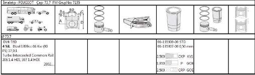 SEGMAN 73,70MM STD PEUGEOT P107 P207 P206 - GOETZE 61353000G