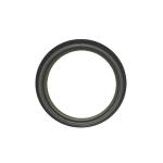 ABS OKUYUCU HALKA ARKA DISK CLIO III MOD - BRUCKE 8200276843