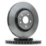 Fren Diski On Hava Kanalli.Boyali.5 Bijon.300 M - TRW DF6820