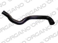 Radyator Hortumu Alt W202 93-00 S202 96-01 C208 97-02 A208 9 - UCPA 10H123183