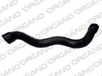 RADYATOR HORTUMU UST E-CLASS W210 98-02 S210 - UCPA 10H12845