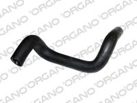 Radyator Alt Hortumu Focus İ 1.4 16v/1.6 16v - UCPA 13H11380