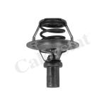 TERMOSTAT 91 C RENAULT R19/CLIO/EXPRESS  - VERNET TH5284.91J